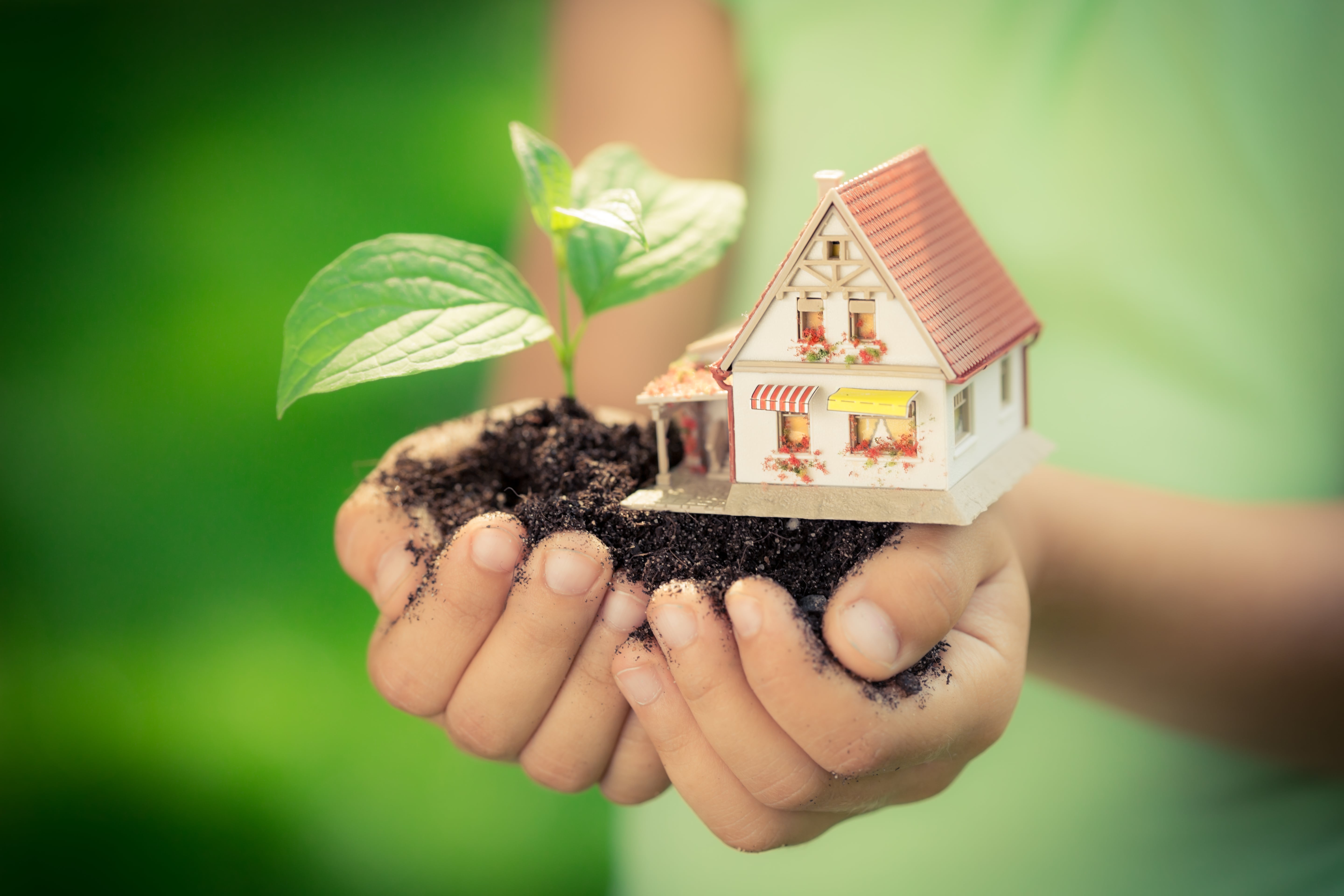 Cara Mudah Go Green dari Rumah, Ikhtiar untuk Jaga Lingkungan